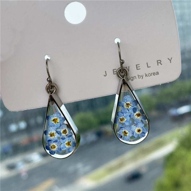 Fashion teardrop-shaped dried flower earrings blue forget-me-not real flower earrings jewelry