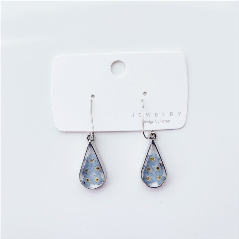 Fashion teardrop-shaped dried flower earrings blue forget-me-not real flower earrings jewelry