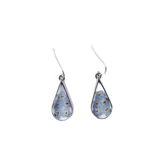 Fashion teardrop-shaped dried flower earrings blue forget-me-not real flower earrings jewelry